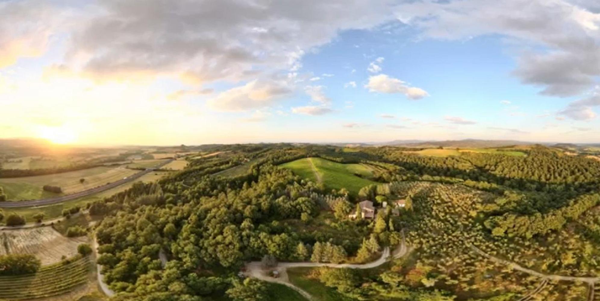 Agriturismo Villa Alari 切托纳 外观 照片