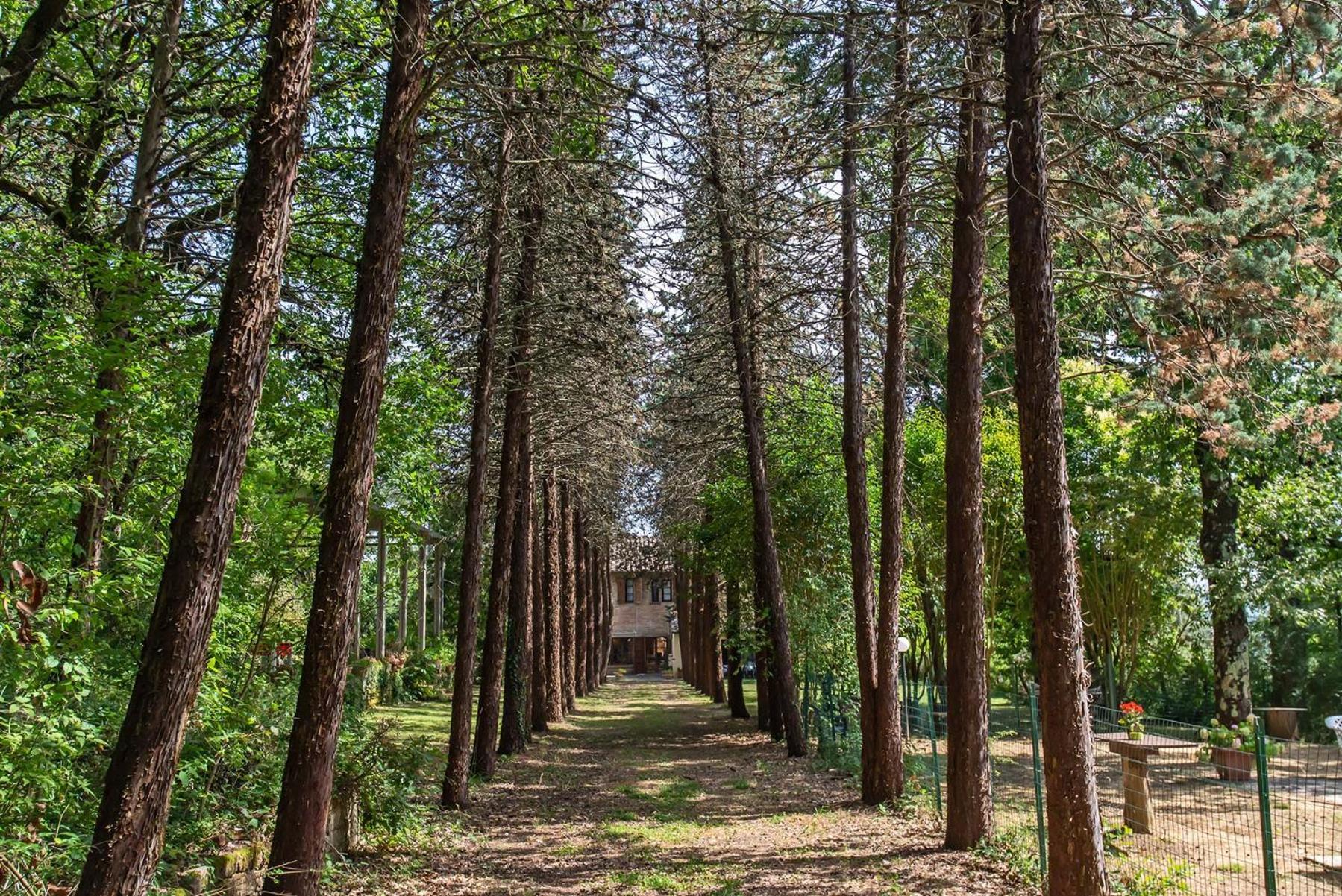 Agriturismo Villa Alari 切托纳 外观 照片