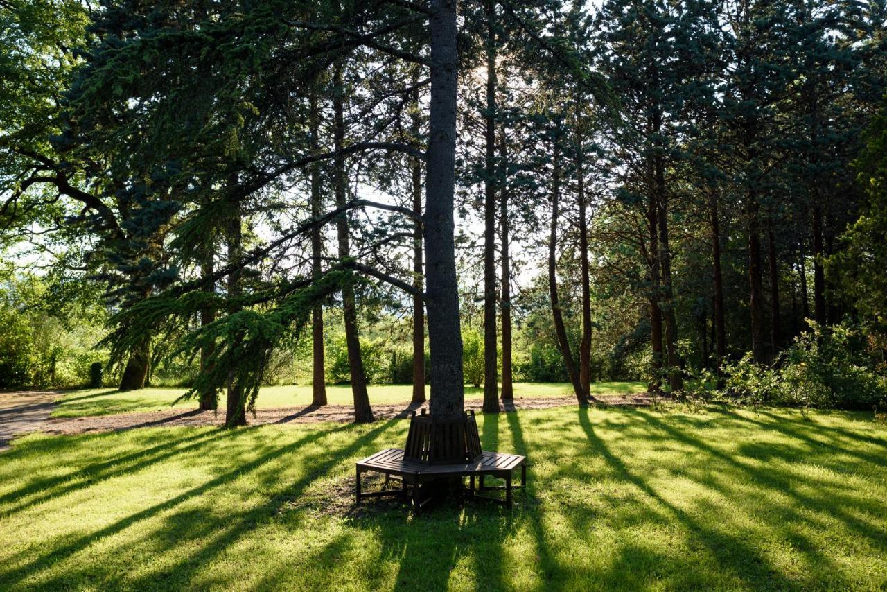 Agriturismo Villa Alari 切托纳 外观 照片